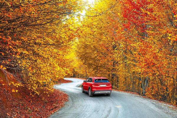 A red car driving down a curvy road in the fall. Showing the fall leave colors of the trees.