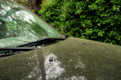 Consider the various aftereffects that pollen has on your car