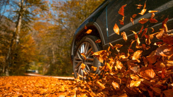 A black car driving through fall leaves, Andys Autowash can help you prepare your car for colder weather.