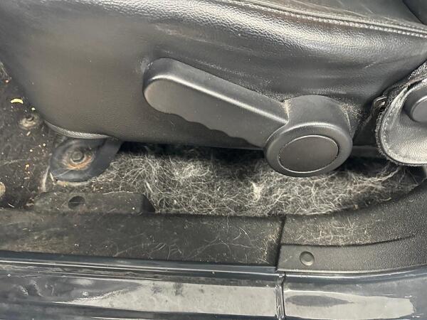 Pet hair between the seat and door frame. Showing that pet hair covered the entire vehicle before the detailing service.