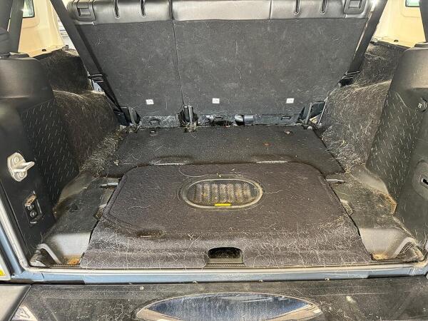 The entire back of the car before it was detailed by Andy's Autowash. Show hair covered ever part of the back of the car.