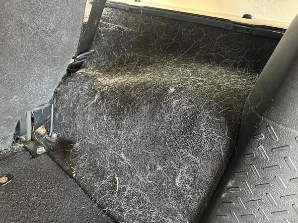 The inside of the right back side of a car. Showing how much hair there was before the interior detailing by Andy's Autowash.